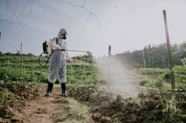 Best Affordable Pest Control Services  in Rose Valley, PA