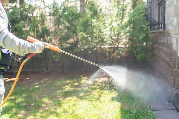 Best Mosquito Control Services  in Rose Valley, PA