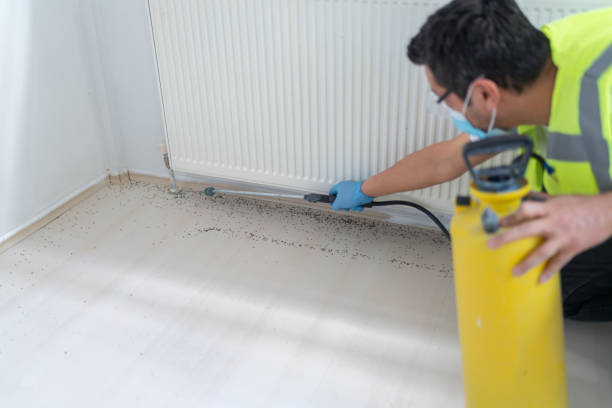 Best Termite Control Services  in Rose Valley, PA